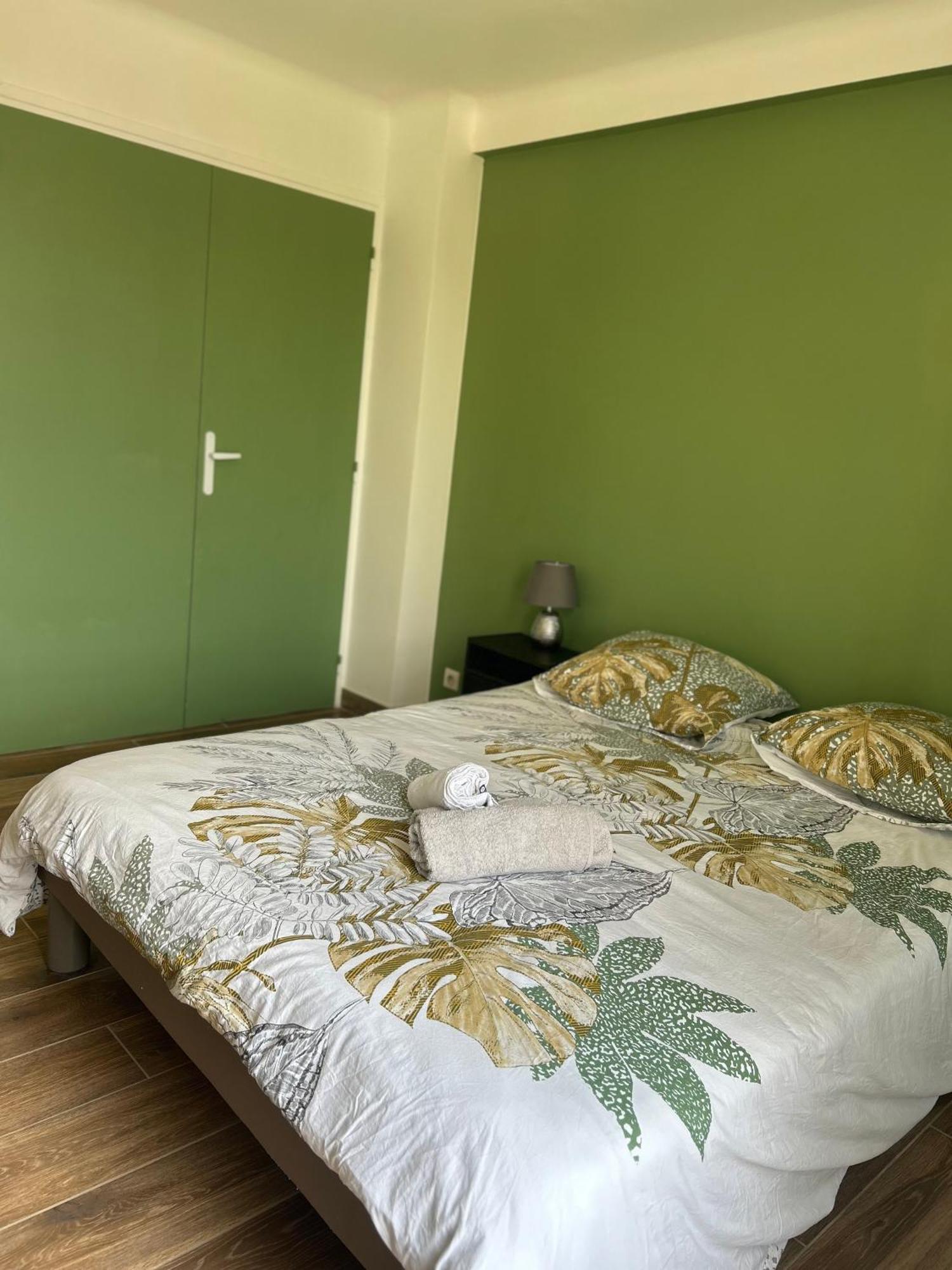 Charmant 3 Pieces Carcassonne Apartment Bagian luar foto